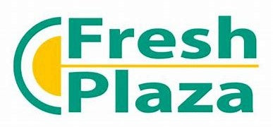 Prevista la maturazione contemporanea di grossi quantitativi di pomodoro da industria